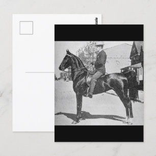 American Saddlebred Horse - Vintages Foto anzeigen Postkarte