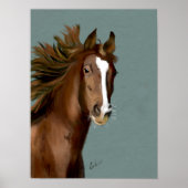 American Saddlebred Poster (Vorne)