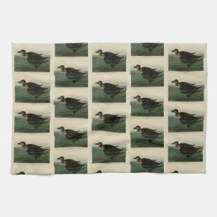 American Scoter Duck - Audubons Vögel in Amerika Geschirrtuch