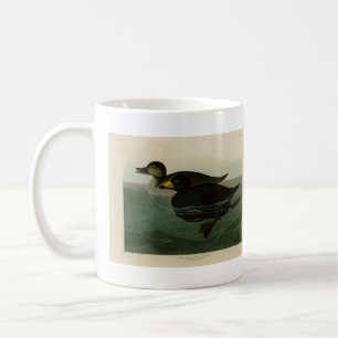 American Scoter Duck - Audubons Vögel in Amerika Kaffeetasse