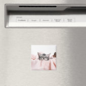 American Shorthair 10 Magnet (In Situ (Geschirrspüler))