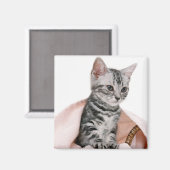 American Shorthair 2 Magnet (Vorderseite/Rückseite)