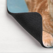 American Shorthair 3 Mousepad (Ecke)
