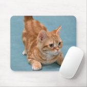 American Shorthair 3 Mousepad (Mit Mouse)