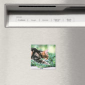 American Shorthair 7 Magnet (In Situ (Geschirrspüler))