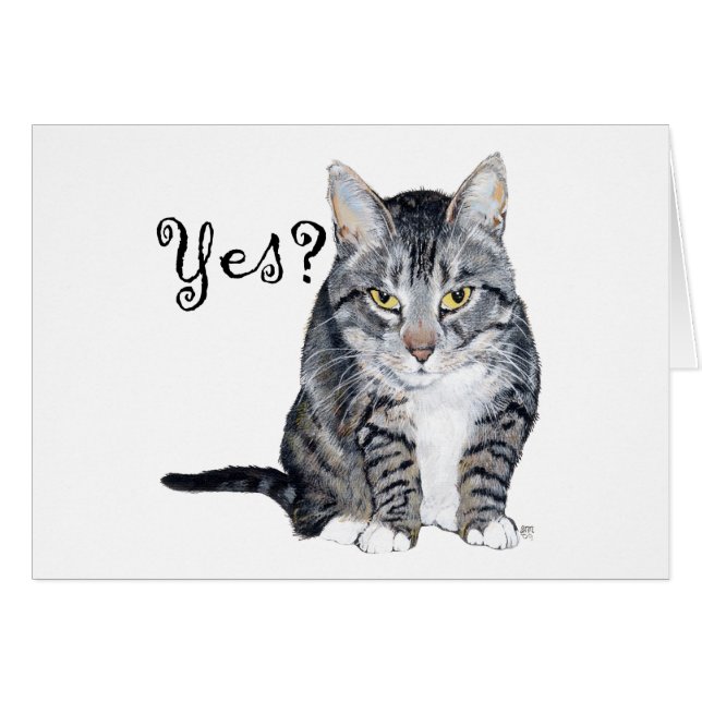 American Shorthair Cat - Ja? (Vorderseite (Horizontal))