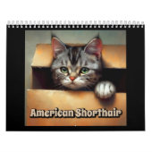American Shorthair Cat Kalender (Titelbild)