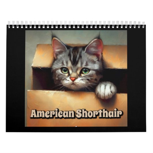 American Shorthair Cat Kalender (Titelbild)