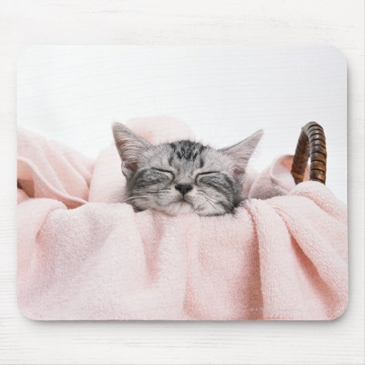 American Shorthair Cat Mousepad (Vorne)