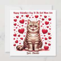 American Shorthair Cat Valentine Day Pursuit