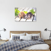 American Shorthair; ist die beliebteste und belieb Leinwanddruck (Insitu (Schlafzimmer))