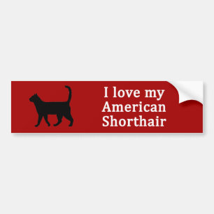 American Shorthair Liebe Autoaufkleber
