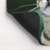 American Shorthair Mousepad (Ecke)