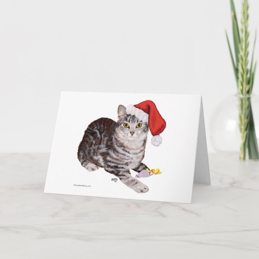 American Shorthair Tabby Cat - Weihnachten (Vorderseite)