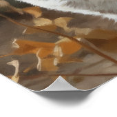 American Shorththorder Cat Art Print Poster (Ecke)