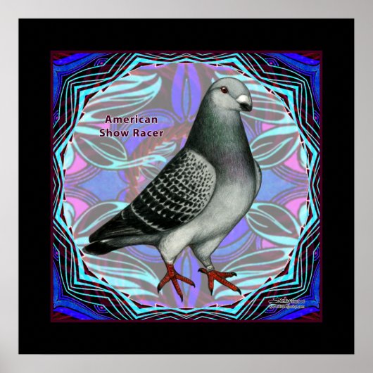 American Show Racer Poster (Vorne)