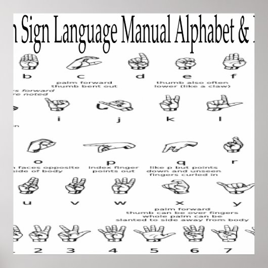 American Sign Language ASL Alphabet & Numbers Char Poster (Vorne)