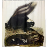 American Skunk oder Striped Skunk von Audubon Duschvorhang (Vorderseite)