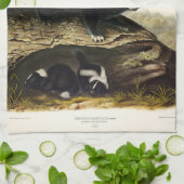 American Skunk oder Striped Skunk von Audubon Geschirrtuch (Gefaltet)