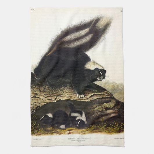 American Skunk oder Striped Skunk von Audubon Geschirrtuch (Vertikal)