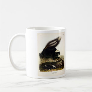 American Skunk oder Striped Skunk von Audubon Kaffeetasse