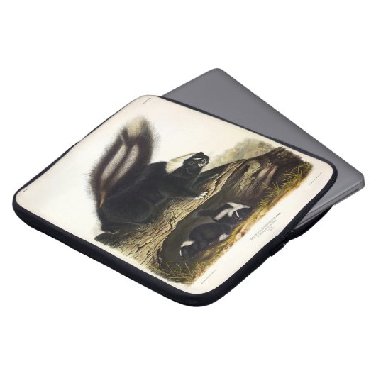 American Skunk oder Striped Skunk von Audubon Laptopschutzhülle (Vorne Oben)