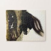 American Skunk oder Striped Skunk von Audubon Puzzle (Horizontal)
