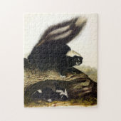 American Skunk oder Striped Skunk von Audubon Puzzle (Vertikal)