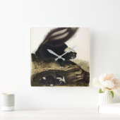 American Skunk oder Striped Skunk von Audubon Quadratische Wanduhr (Zuhause)