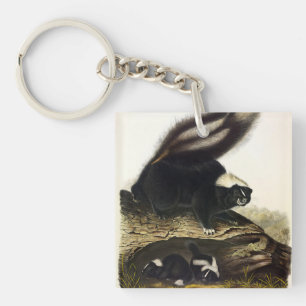 American Skunk oder Striped Skunk von Audubon Schlüsselanhänger