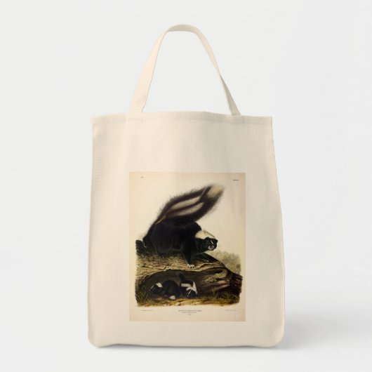 American Skunk oder Striped Skunk von Audubon Tragetasche (Vorne)