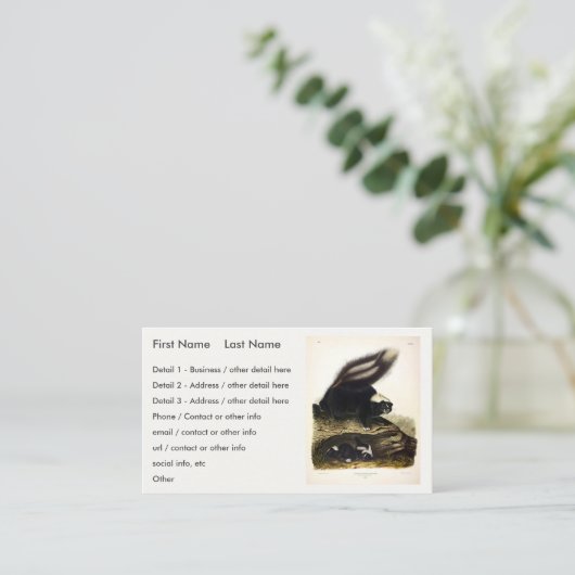 American Skunk oder Striped Skunk von Audubon Visitenkarte (Stehend Vorderseite)