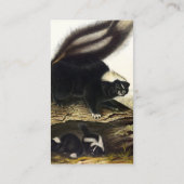 American Skunk oder Striped Skunk von Audubon Visitenkarte (Rückseite)