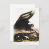 American Skunk Portrait Einladung (Vorne/Hinten)
