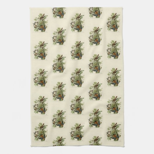 American Sparrow Hawk - Audubons Vögel in Amerika Geschirrtuch (Vertikal)