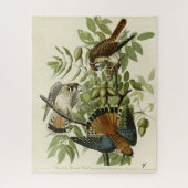 American Sparrow Hawk - Audubons Vögel in Amerika Puzzle (Vertikal)