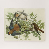 American Sparrow Hawk - Audubons Vögel in Amerika Puzzle (Horizontal)