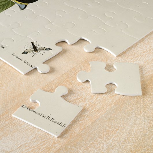 American Sparrow Hawk - Audubons Vögel in Amerika Puzzle (Seite)