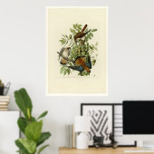 American Sparrow Hawk Poster (Heimbüro)
