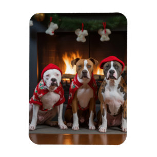 American Staffordshire by Fireplace Christmas Magnet