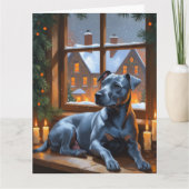 American Staffordshire Christmas Lights Holiday Karte (Vorderseite)