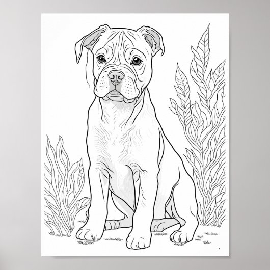 American Staffordshire Dog Aduloring Poster (Vorne)