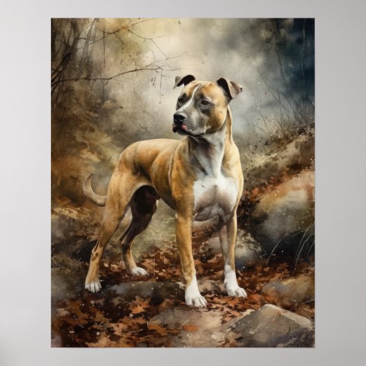 American Staffordshire Dog Art Print Poster (Vorne)