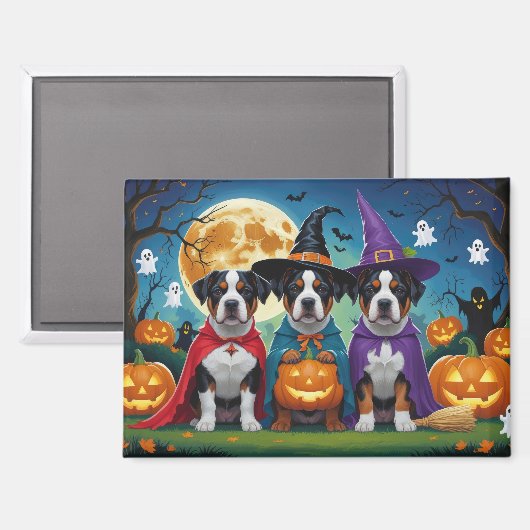 American Staffordshire Dog Pumpkin Halloween Funny Magnet (Vorderseite/Rückseite)