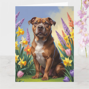 American Staffordshire Hund Frühlingsblumen Malere Karte