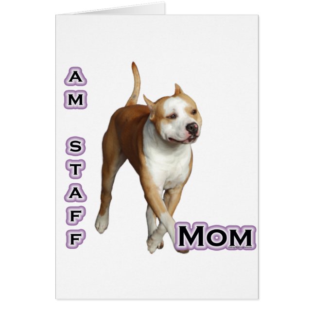 American Staffordshire Mama 4 (Vorne)