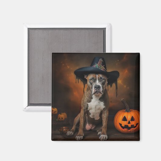 American Staffordshire Pumpkins Halloween Beängsti Magnet (Vorderseite/Rückseite)