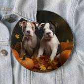 American Staffordshire Puppy Herbst Delight Button (Beispiel)