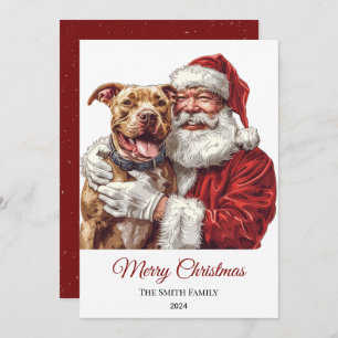 American Staffordshire Santa Claus Weihnachten