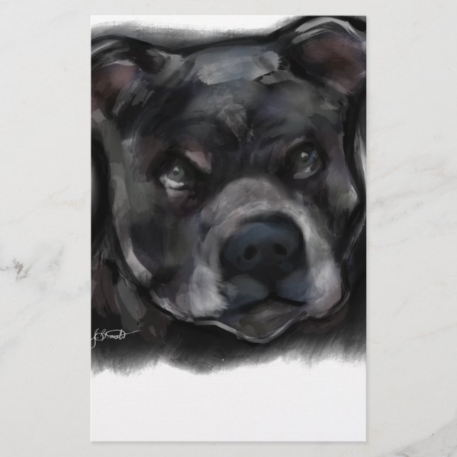 American Staffordshire Terrier (Vorderseite)